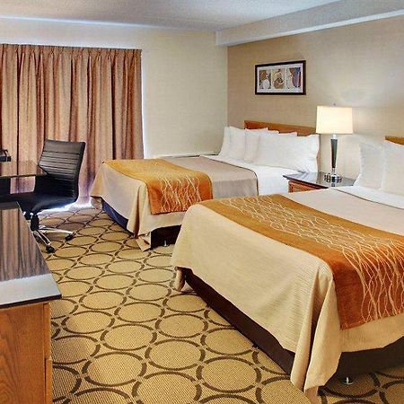 Comfort Inn Edmundston Zewnętrze zdjęcie