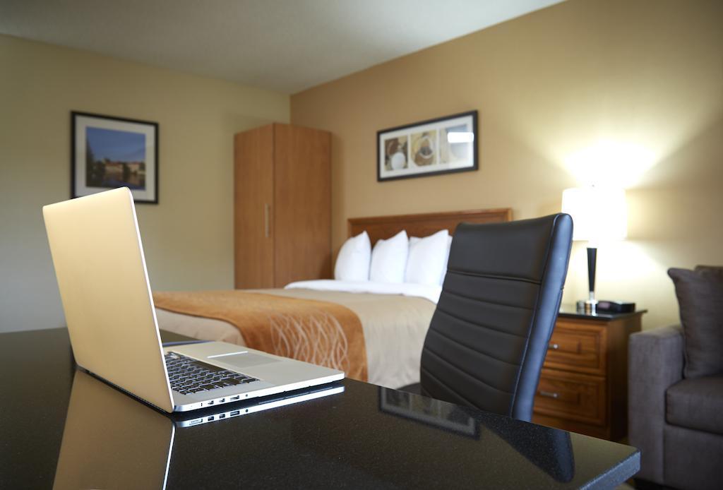 Comfort Inn Edmundston Zewnętrze zdjęcie