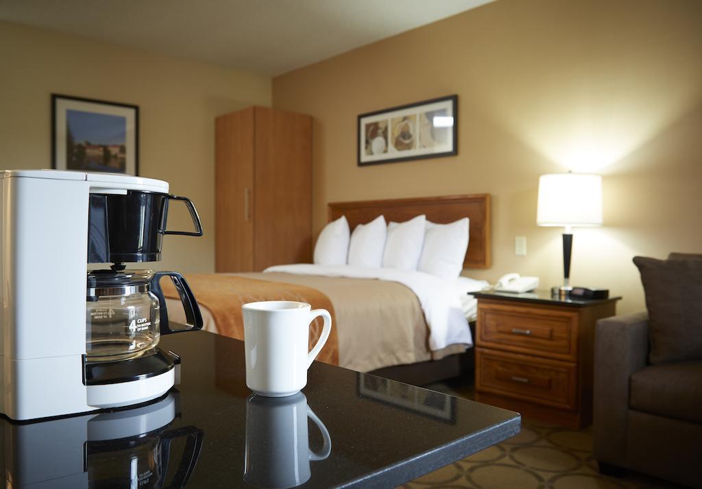 Comfort Inn Edmundston Zewnętrze zdjęcie