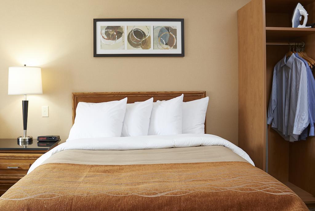 Comfort Inn Edmundston Zewnętrze zdjęcie