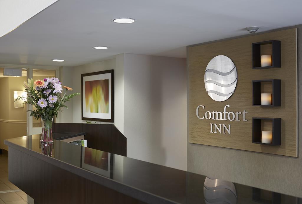 Comfort Inn Edmundston Zewnętrze zdjęcie